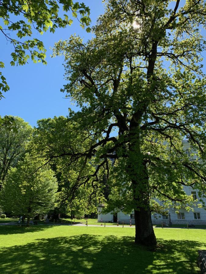 Schlosspark Grubhof - Mitterer Sankt Martin bei Lofer Exteriör bild