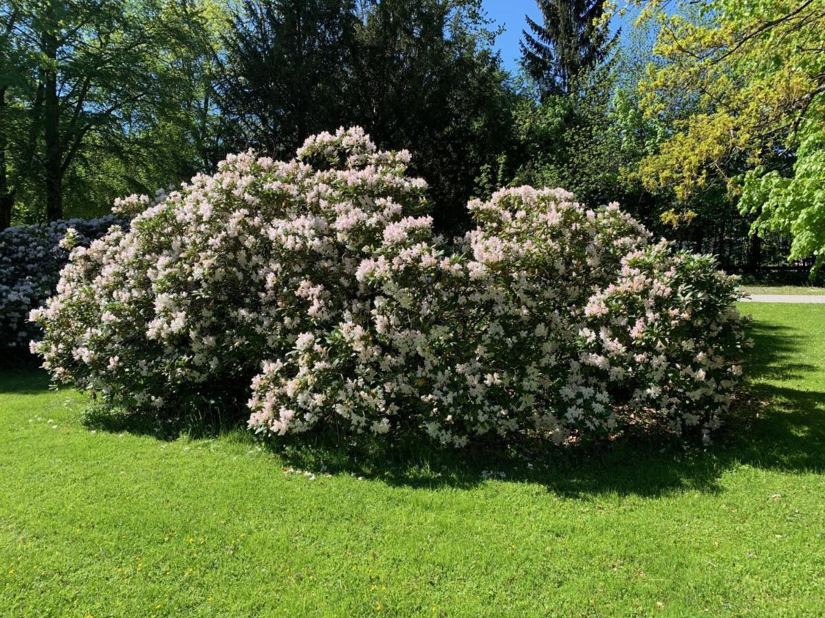 Schlosspark Grubhof - Mitterer Sankt Martin bei Lofer Exteriör bild